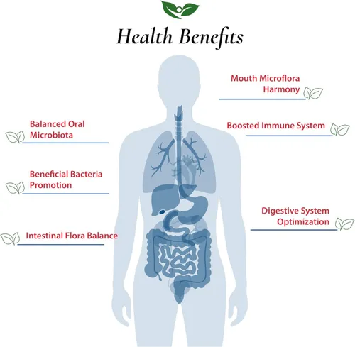 Miniatura 4 de Foods For Gut Lactobacillus Bulgaricus Probiotic Powder 50 mil millones de ufc Fabricado en Estados Unidos Sin aditivos Apoyo digestivo e
