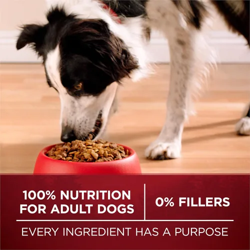 Miniatura 9 de Purina ONE True Instinct con salmón real y atún natural con vitaminas, minerales y nutrientes añadidos, fórmula seca de alimentos para perros