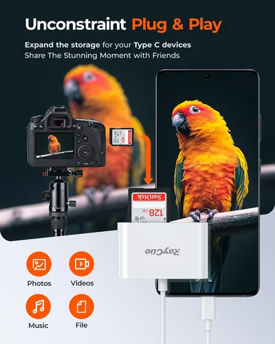 Miniatura 3 de RayCue Lector de tarjetas SD USB-C - Lector de tarjetas tipo C a SD/MicroSD para iPhone 15/iPad/Mac/Laptop, iMac/iPad Pro/Air/Mini, MacBook Pro/Air