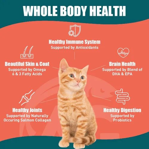 Miniatura 6 de All-Salmon - Alimento seco crudo liofilizado para gatos, alto en proteínas, sin granos, fortificado con omega-3 para la piel, el pelaje y la salud