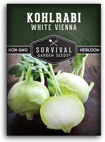 Survival Garden Seeds - Semilla de colinabo blanco de Viena para plantar - Paquete con instrucciones para plantar y cultivar verduras crucíferas