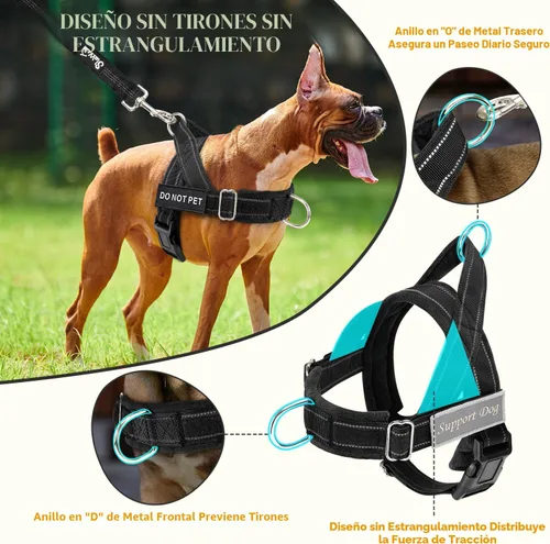 Miniatura 2 de Juego de arnés y correa para perro Lukove sin tirones - Arnés de chaleco para perros resistente con acolchado suave para perros medianos y grandes