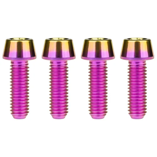 Miniatura 74 de Titanio Ti M6 x 10 16 18 20 25 30 35 40 45 50 55 60 2.559 in Allen - Tornillos hexagonales de 2.559 in, tornillos cónicos, paquete de 4