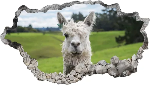 Calcomanía de pared 3D con vista de agujero de pared de alpaca, calcomanía de pared de alpaca animal para habitación de niños, dormitorio, sala de