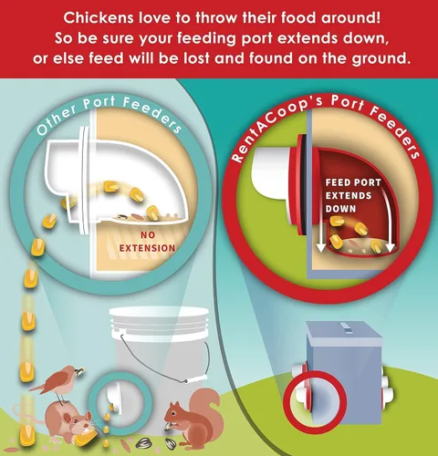 Miniatura 4 de RentACoop Alimentador de pollo de un solo puerto sin BPA de tiro alto de 10 libras, incluye tapa anti-gallina, capucha de lluvia y accesorios