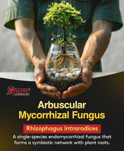 Miniatura 3 de Xtreme Gardening Mykos WP Mycorrhizae Powder - Micorrizas orgánicas para plantas - Estimulador de raíces de hongos micorrícicos para plantas - Ideal