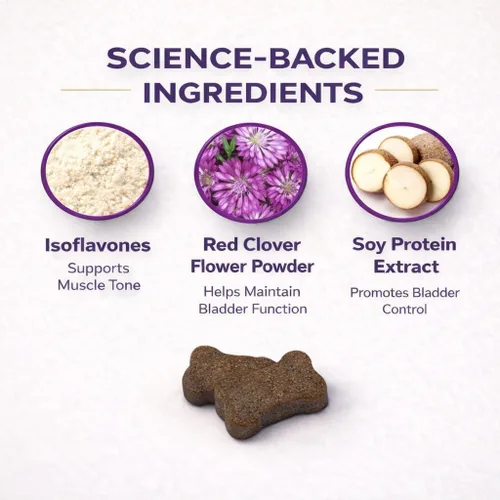 Miniatura 4 de VETRISCIENCE Masticables para la salud de la vejiga, suplemento Vetri Bladder para perros, apoyo a la incontinencia, reduce la fuga de orina
