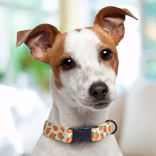 Miniatura 5 de Peaches Dog Collar Personalized (X-Small 5/8")
