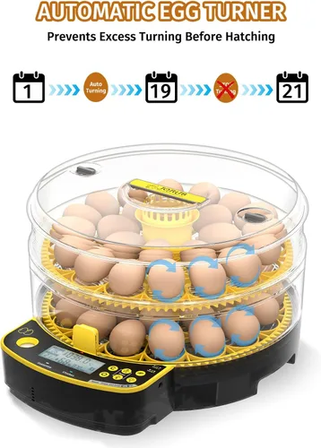 Miniatura 4 de JUJOJB Incubadora de 48 huevos para incubar huevos, doble capa con girador automático de huevos, control de temperatura y humedad, vela de huevos