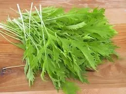 Mostaza Mizuna Great Heirloom Vegetable By Seed Kingdom BULK 30,000 Semillas