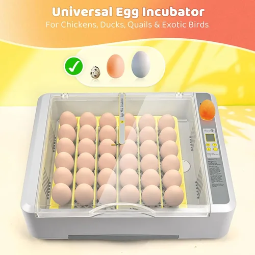 Miniatura 6 de Incubadora de 36 huevos para incubar pollitos con control automático de temperatura y humedad, vista panorámica multifuncional ultra clara con días