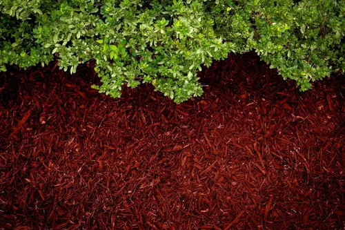Miniatura 2 de Tinte de mantillo rojo, cobertura de 3,200 pies cuadrados – Colorante de mantillo para paisajismo y camas de jardín, tinte de mantillo de madera