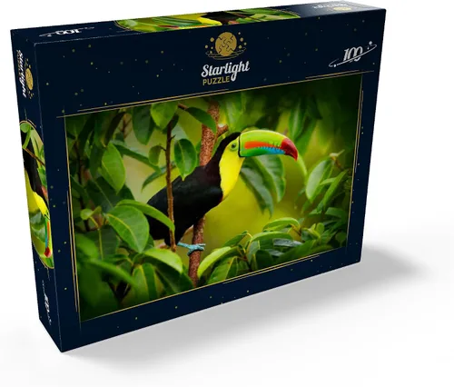 Miniatura 2 de MyPuzzle Costa Rica Wildlife - Tucán sentado en la rama en el bosque - Rompecabezas premium de 100 piezas para adultos