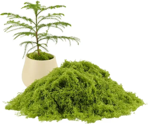 Caiyjhao Musgo de simulación verde, hierba falsa filiforme del bosque, se utiliza para hacer paisaje, pared, Pascua, decoración de plantas verdes
