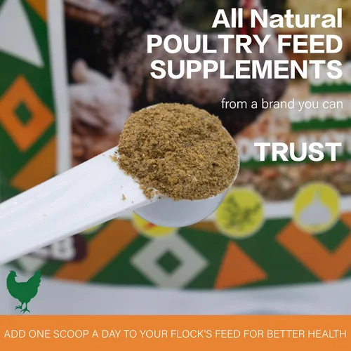 Miniatura 6 de Polvo Desparasitante para Pollos de Jmxu, Fórmula Natural de Desparasitante Avícola, Polvo Desparasitante para Gallinas Ponedoras, Suministros