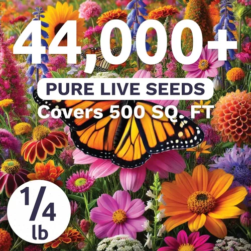 Miniatura 2 de Monarch Butterfly Rescue Mix – Bolsa a granel de 1/4 libra – 44,000 semillas de flores para plantar – Mezcla de flores silvestres