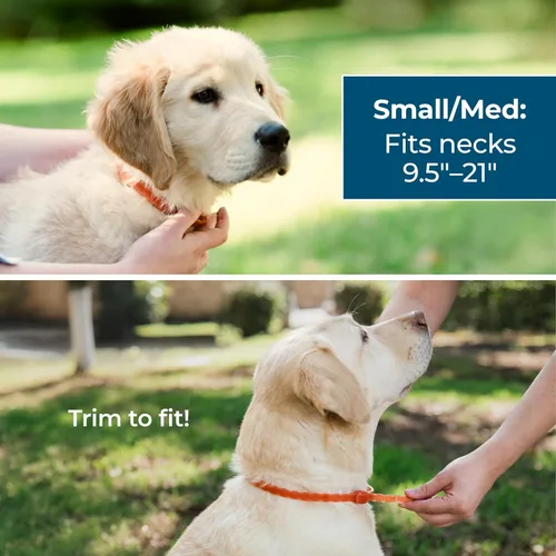 Miniatura 4 de Wondercide Collar para perro, repelente de pulgas, garrapatas y mosquitos para perros, con aceites esenciales naturales, protección de hasta 4 1