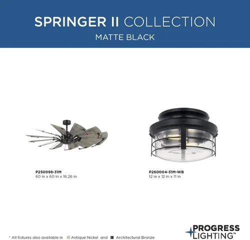 Miniatura 8 de Progress Lighting Springer II Collection - Kit de luces rústicas color negro mate (P260004-31M-WB)