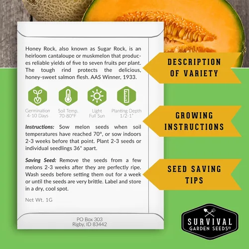 Miniatura 2 de Survival Garden Seeds - Semilla de melón Honey Rock para plantar - Paquete con instrucciones para plantar y cultivar dulces y deliciosos frutos