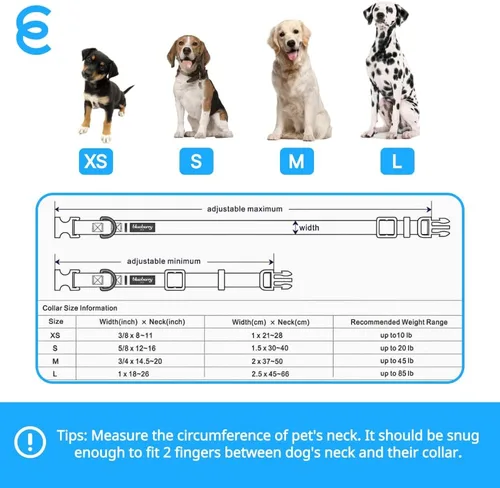 Miniatura 9 de Blueberry Pet Essentials - Collar para perros pequeños a juego, ajustable, clásico, de nailon, color sólido, para perros pequeños, collar