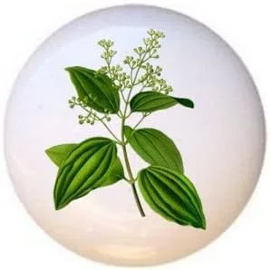 Miniatura 17 de Hierbas Especias Cocina Cocina Cocinar Hornear Hornear Decorativo Cerámica Cajón Tiradores Armario Perillas (pimienta de Jamaica)