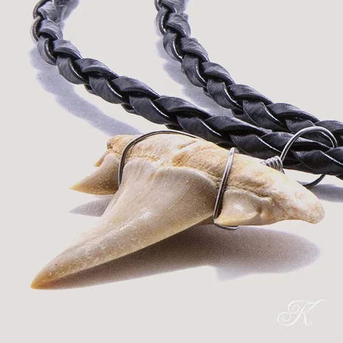 Miniatura 2 de KALIFANO Collar de dientes de tiburón fosilizado, auténtico colgante prehistórico de dientes de tiburón en cordón de cuero trenzado de 18 pulgadas