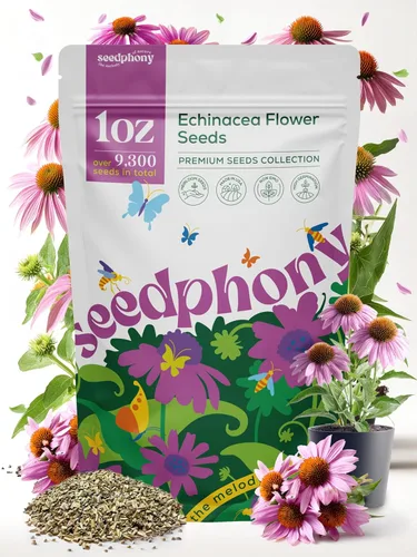 Seedphony Paquete de semillas de equinácea de 1 onza – 9,300 semillas de equinácea sin OMG para plantar, flores perennes en paquete de semillas