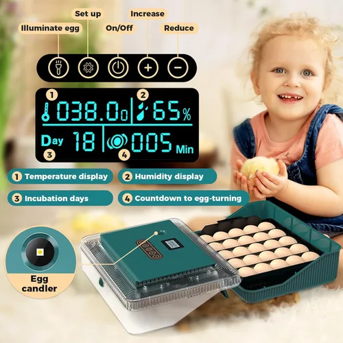 Miniatura 3 de Incubadora de 25 huevos, incubadoras para incubar huevos, con giro automático de huevos y control de humedad, vela de huevos, reposición automática