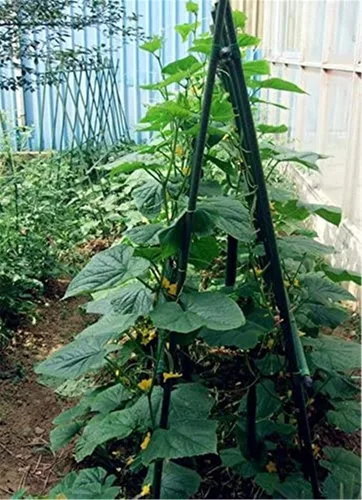 Miniatura 8 de Estacas de jardín Tingyuan de 36 pulgadas, estacas de acero para plantas, estacas para tomates, paquete de 25 estacas de 3 pies