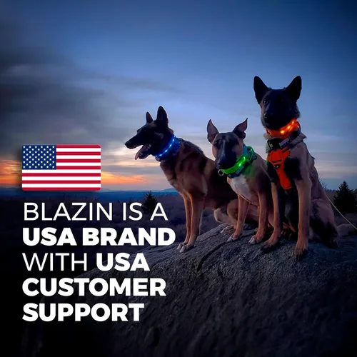 Miniatura 7 de Blazin - Collares luminosos para perros, collar led original para perros con 1,000 pies de visibilidad, recargable mediante USB e impermeable