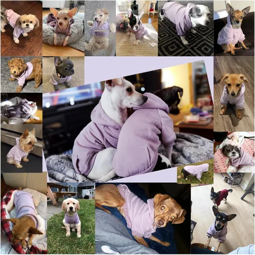 Miniatura 4 de Jecikelon Sudadera con capucha para perro de invierno con bolsillos, ropa cálida para perros pequeños, abrigo de chihuahua, ropa de cachorro y gato