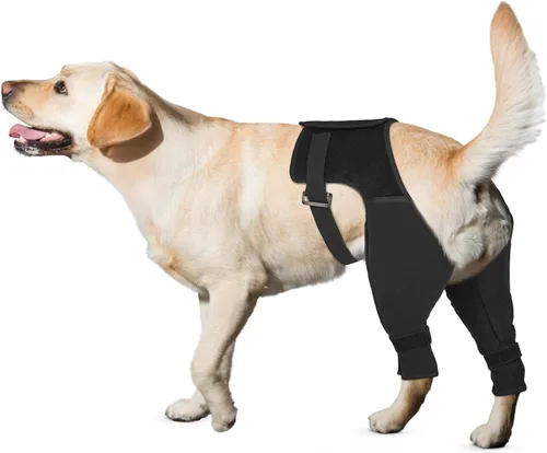 Miniatura 8 de Manga de recuperación para perro, pierna trasera para dejar de lamer, cómodos pantalones de pierna trasera para heridas ACL TPLO después