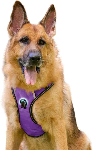 Miniatura 33 de Arnés antitirones para perro pequeño con 2 hebillas de liberación rápida y mango de fácil control, chaleco suave reflectante sin estrangulamiento