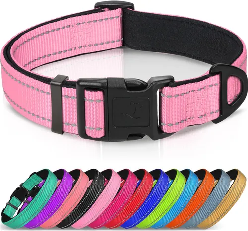 Miniatura 12 de Joytale - Collar reflectante para perro, collar de nailon transpirable con acolchado de neopreno suave para mascotas, ajustable para perros Verde