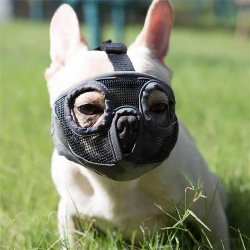 Miniatura 14 de Bozal para perro de hocico corto - Bozal ajustable de malla transpirable para bulldog para morder, masticar, lamer, aseo, mascarilla para perros