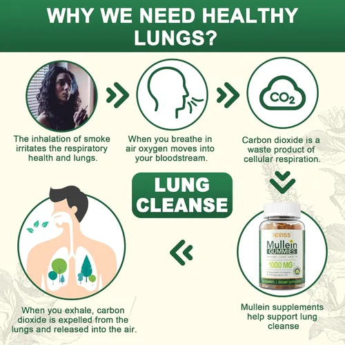 Miniatura 4 de NEVISS Gomitas de gordolobo para pulmones, extracto orgánico de hoja de gordolobo de 1000 mg para sistema respiratorio con quercetina y bromelina