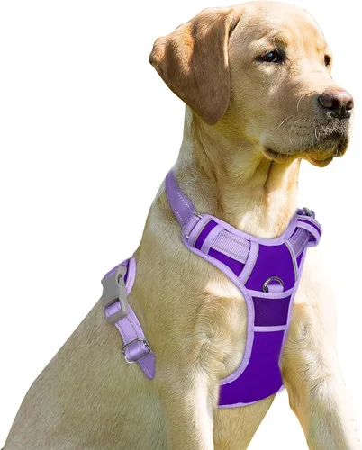 Miniatura 37 de BARKBAY Arnés sin tirones para perro, clip frontal, resistente, reflectante, mango de fácil control para pasear perros grandes (negro, L)