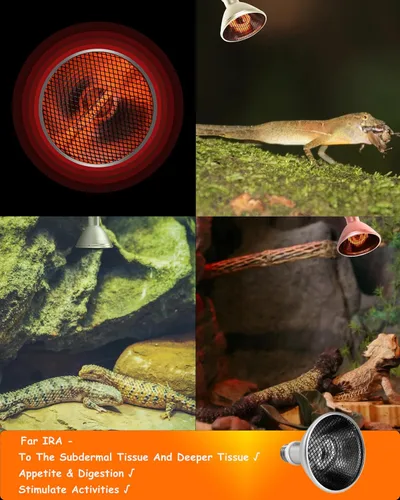 Miniatura 5 de Proyector de calor profundo – DHP 160 W infrarrojo reptil lámpara de calor bombillas para tortuga luz dragón barbudo pollo lagarto leopardo Gecko