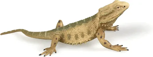 Figura de Dragón Barbudo Figura de Animal de Lagarto Juguetes de Reptil Realistas para Decoración, Educación Científica, Accesorios de Broma (Dragón