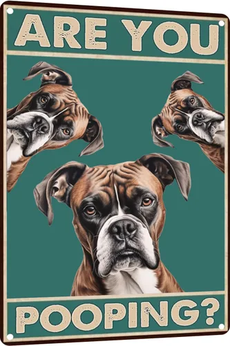 Miniatura 19 de Letrero de metal con texto en inglés "Dog Border Collie Are You Pooping", letrero vintage divertido retro de aluminio para el hogar, cocina, baño