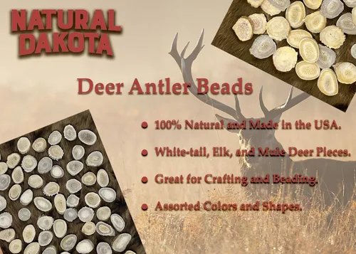 Miniatura 5 de Cuernas/rebanadas de cuernos de ciervo Dakota natural (manualidades, fabricación de joyas, suministros de reborde) (pequeño)