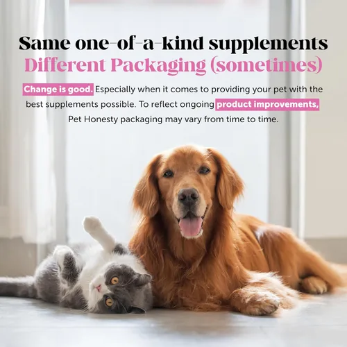 Miniatura 9 de Pet Honesty - Suplemento de probióticos y calabaza en polvo totalmente natural para perros - Prebióticos, probióticos, enzimas y antioxidantes
