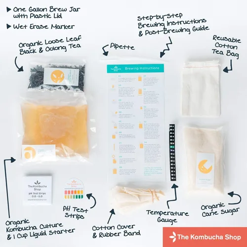 Miniatura 4 de The Kombucha Shop, Kit de inicio de Kombucha con envoltura térmica prémium