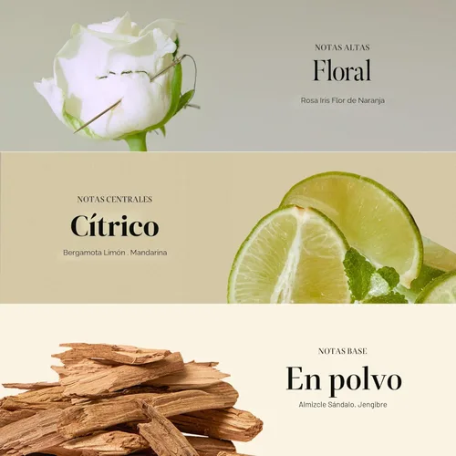 Miniatura 4 de Tratamiento Rosy Night de ampollas capilares para cabello dañado – Fórmula de reparación de agua a crema con péptidos y aminoácidos – Control