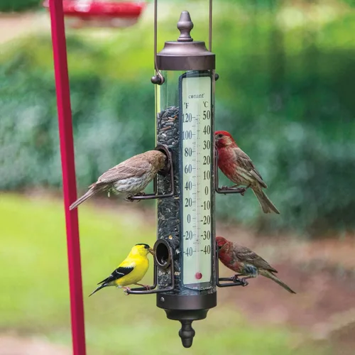 Miniatura 2 de Termómetro de comedero para pájaros: mantén un registro de tus amigos y la temperatura - Un alimentador por oferta