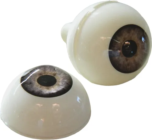 Miniatura 14 de Par de ojos realistas de acrílico redondo tamaño real para accesorios de Halloween, máscaras, muñecas o osos, 1.024 in (marrón claro)