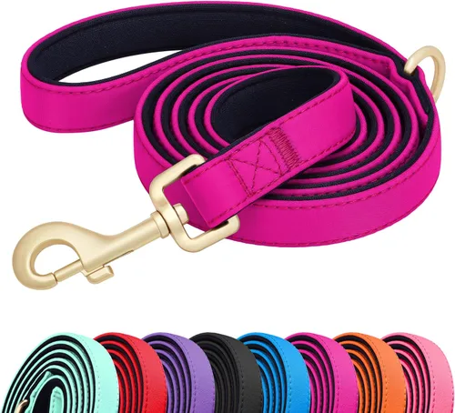 Miniatura 11 de Didog Correa para perro de nailon colorido de 5 pies con acolchado suave de longitud completa, ligera y duradera para perros pequeños, negro, S