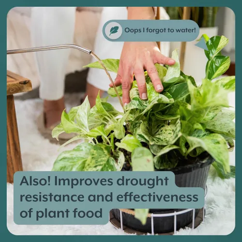 Miniatura 6 de Soporte instantáneo para plantas Probióticos de suelo y micorrizas para plantas de interior y jardines de interior Sin olor - Sin polvo - Sin