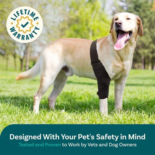 Miniatura 6 de PetCove Rodillera para perro para pierna trasera de Acl desgarrada — Compresión de neopreno, estabilizadores de resorte, correa de soporte de banda