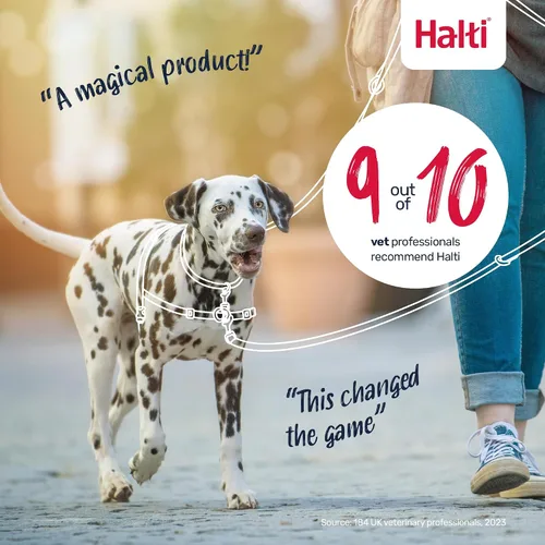 Miniatura 9 de Halti Arnés de control frontal tamaño mediano y correa de entrenamiento Halti tamaño grande, paquete combinado negro – evita que tu perro tire